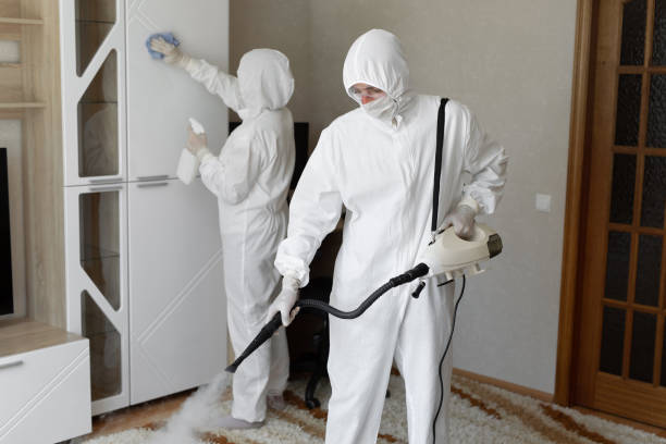24/7 Emergency Odor Removal experts in North Hampton, OH